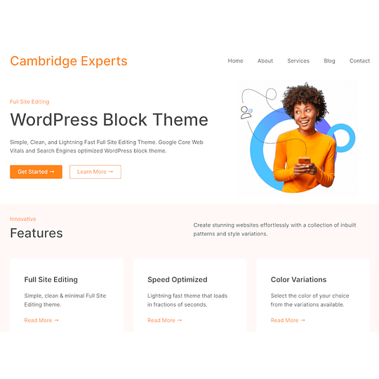 WP Theme - Custom 001